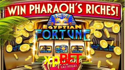 Jogos de mesa e apostas rápidas na xpbet